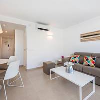 Deluxe One-Bedroom Apartment