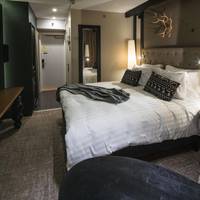 Comfort Queen Room