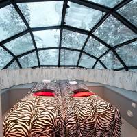 Glass Igloo (2 Adults)