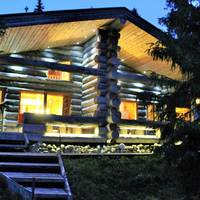 Cottage with Sauna I