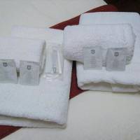 Budget Single Room