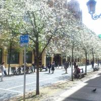 Апартаменты