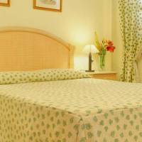Superior One-Bedroom Apartment (4 Adults)
