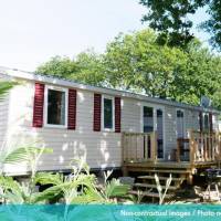 Mobile Home