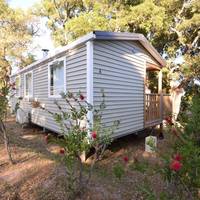 Standard Mobile Home 