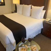 Junior Suite with King-Size Bed