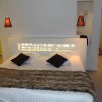 Double Room with view on Sancy