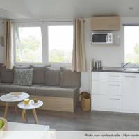 Mobile Home