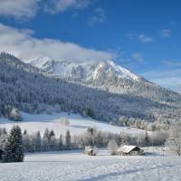 Deluxe Double or Twin Room with Mountain View