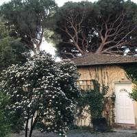 Studio with Garden View