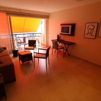 Studio with Terrace