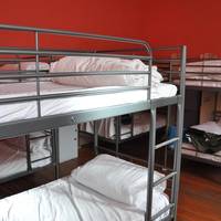 Bed in 10-Bed Mixed Dormitory Room