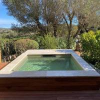 Double Room with Private Swimming Pool 
