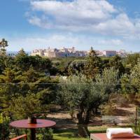 Superior Double Room with Citadel View