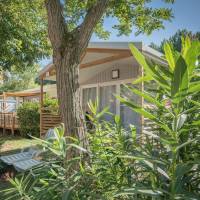 Mobile Home