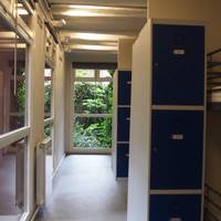 Bed in 14-Bed Mixed Dormitory Room (Cabin)