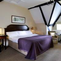 Room #11203573
