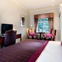 Room #21821859