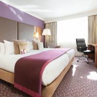 Executive Twin Room