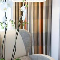 Twin Guest Room