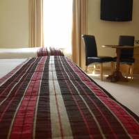 Basic Triple Room
