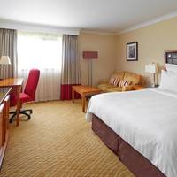 Deluxe Room, Guest room, 1 Queen