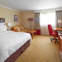 Deluxe Room, Guest room, 1 Queen, Wi-Fi
