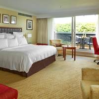 King Suite with Sofa Bed