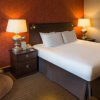 Queen Hilton Guestroom