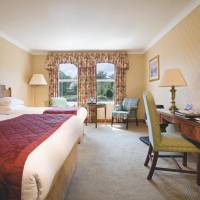 Standard Family Room 3