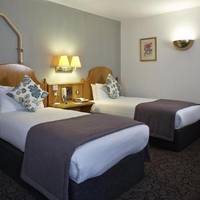 Room #20069834