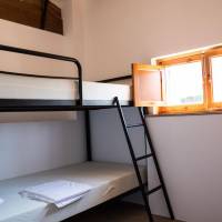 Single Bed in 10-Bed Dormitory Room