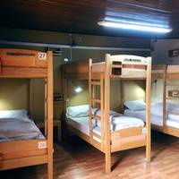 Bed in 6-Bed Mixed Dormitory Room
