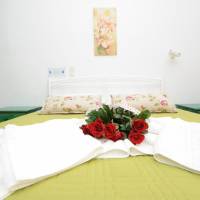 Semi-Basement Double Room