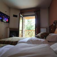 Twin Room with Mountain View, Hydromassage Shower and Fireplace