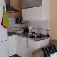 Duplex Apartment