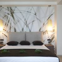 Deluxe Room with Sea View