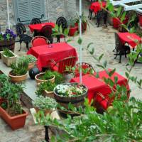 Economy Double or Twin Room with Garden View