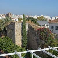 Superor studio with Terrace