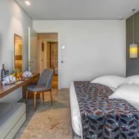 Executive Suite with Private Pool