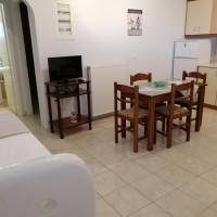Superior Apartment (4 Adults)