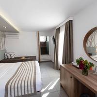 Standard Double Room with Mountain View