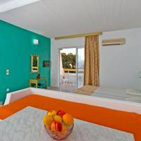 Studio with Pool View (2-3 adults)