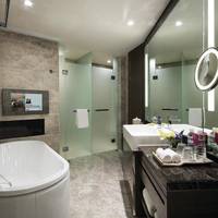 Premium King Room with City View