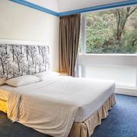 Double Room with Hill View