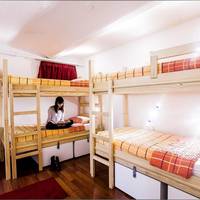Single Bed in 4-Bed Dormitory Room