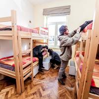 Single Bed in 8-Bed Dormitory Room