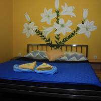 Double or Twin Room with Terrace
