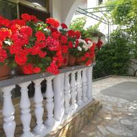 Apartment with Garden View