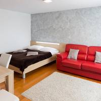 Luxury One-Bedroom Apartment